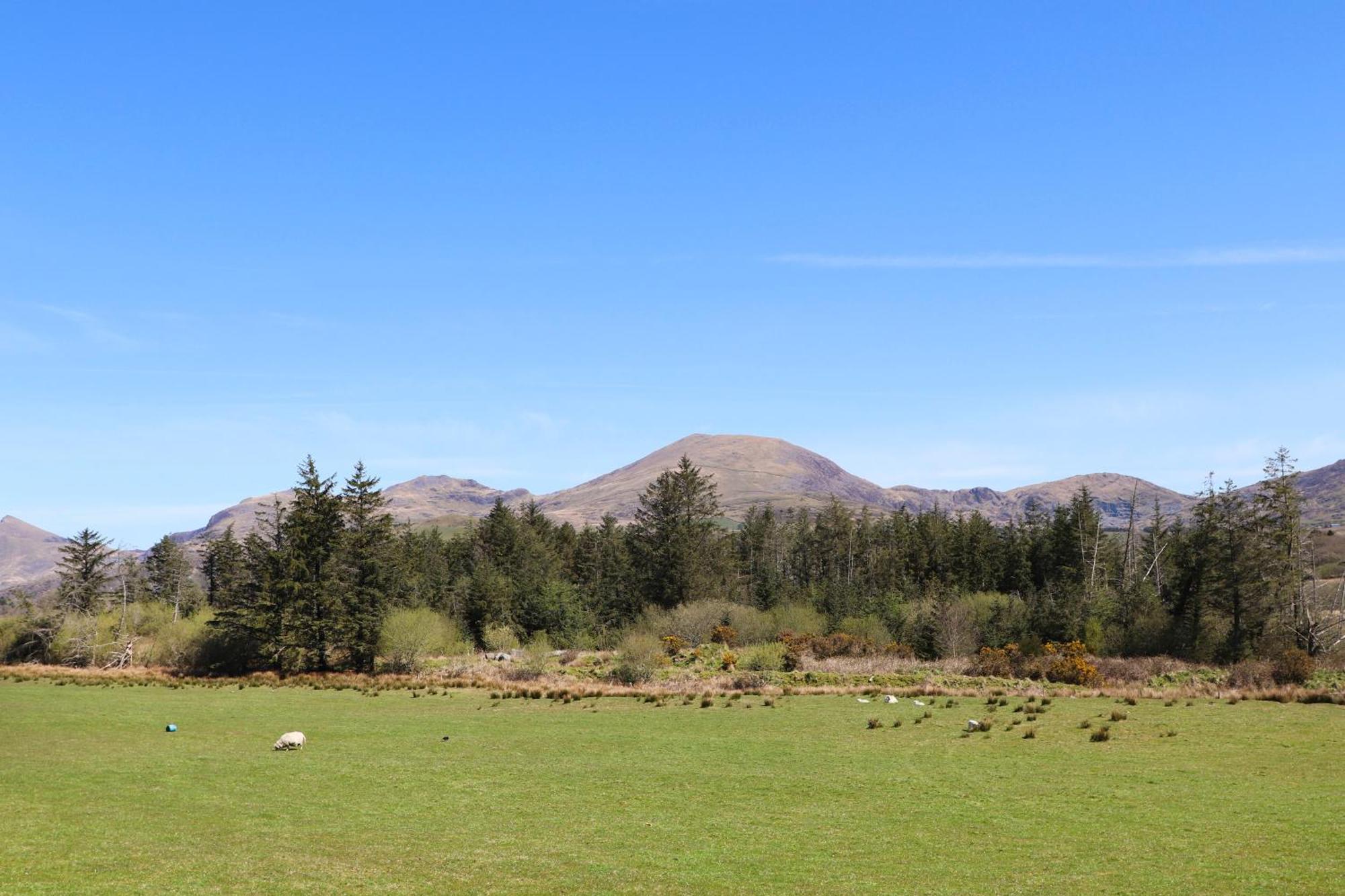 The Old Cornhill * Porthmadog